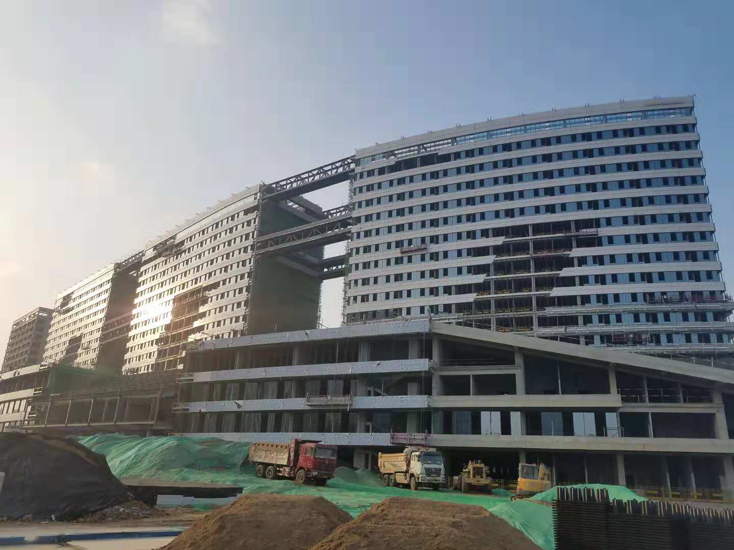 AG真人国际