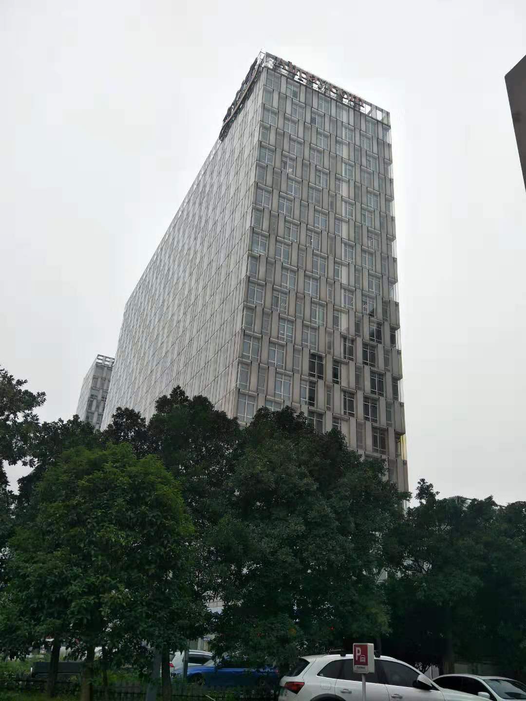 AG真人国际