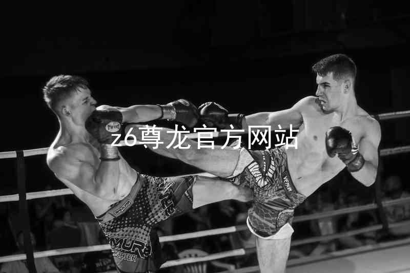 z6尊龙官方网站