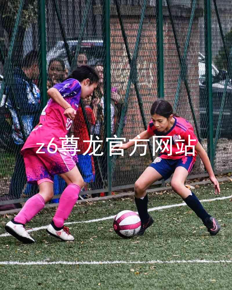 z6尊龙官方网站