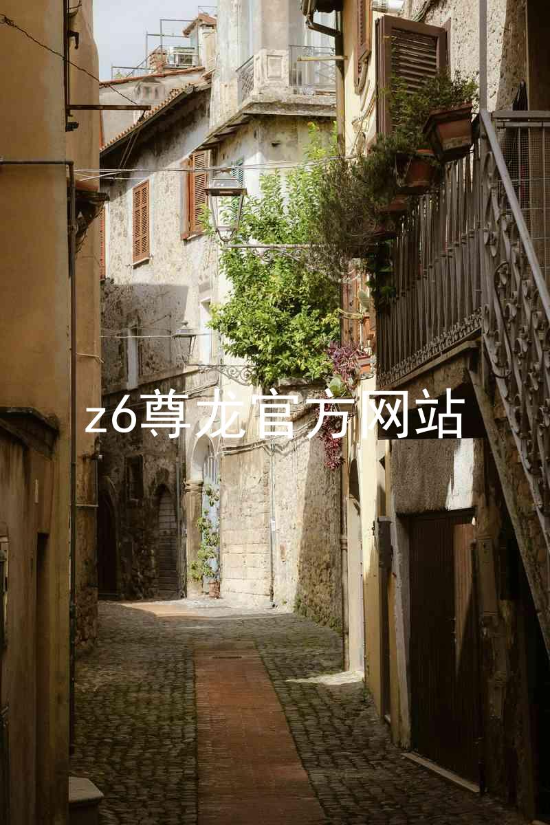 z6尊龙官方网站